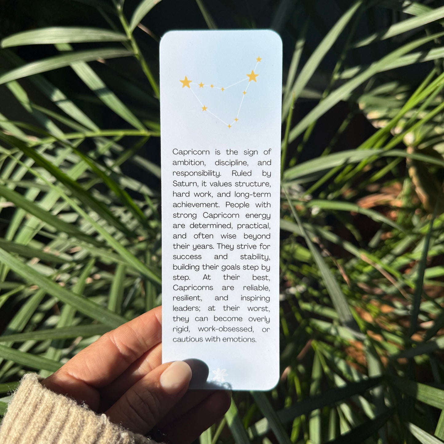 zodiac sign capricorn bookmark