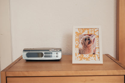 spring picture frame  — the post club by klari ✰ edition #7
